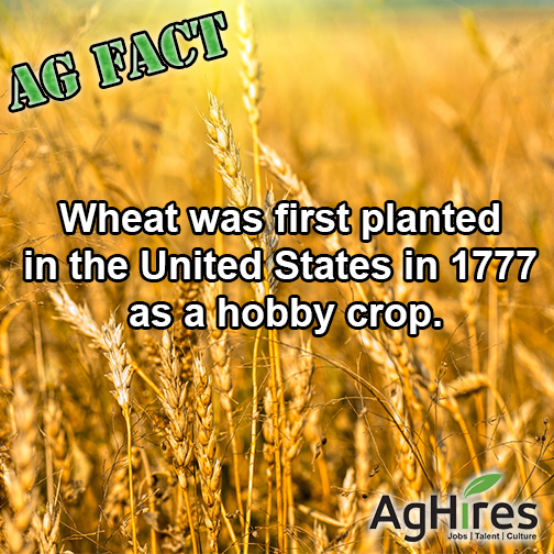 First Planted in 1777