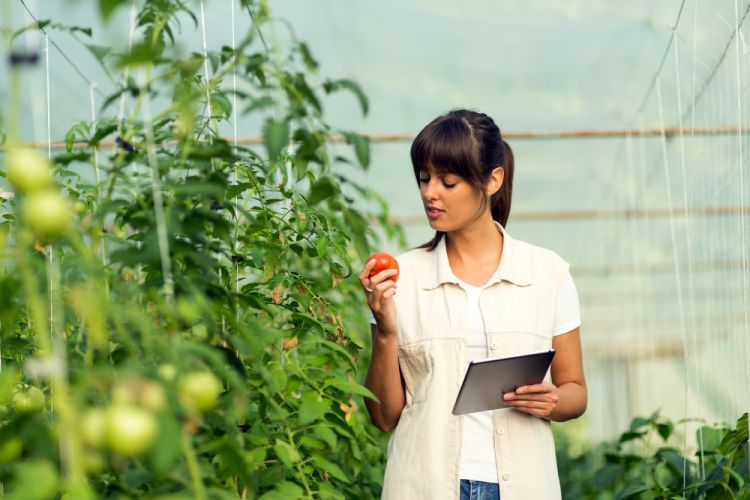 Difference Between an Agronomist and Horticulturist