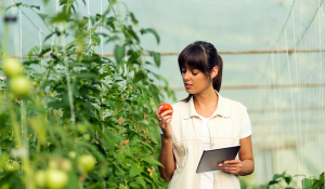 Difference Between an Agronomist and Horticulturist