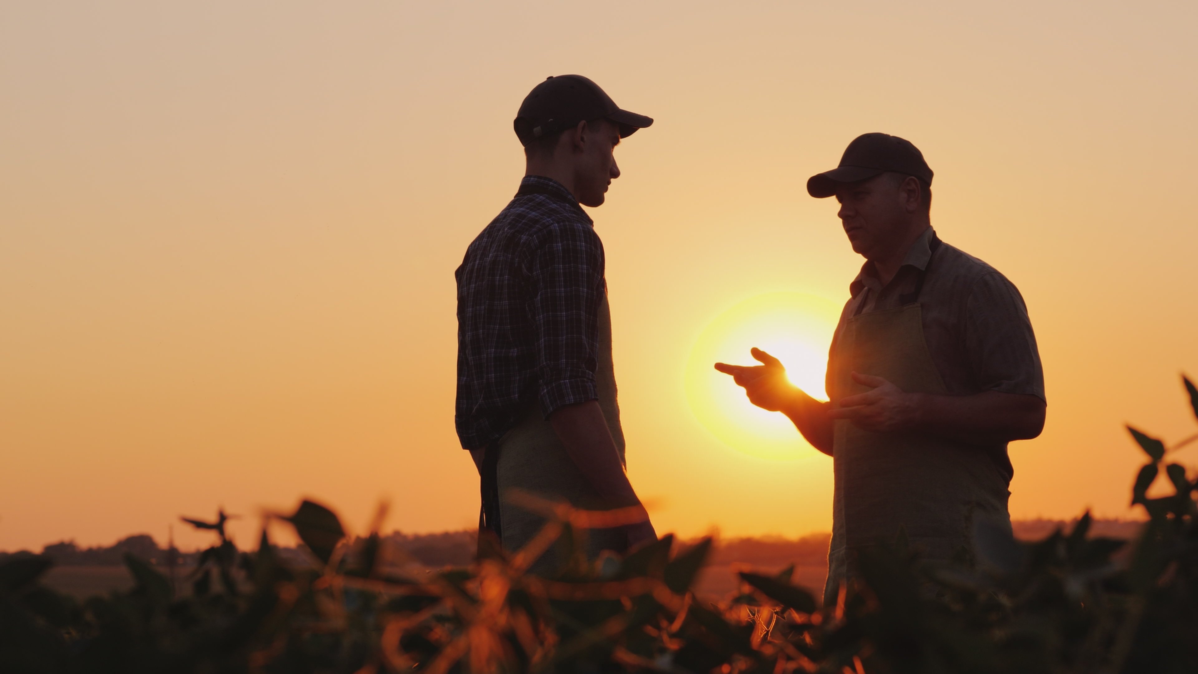 Agriculture Industry