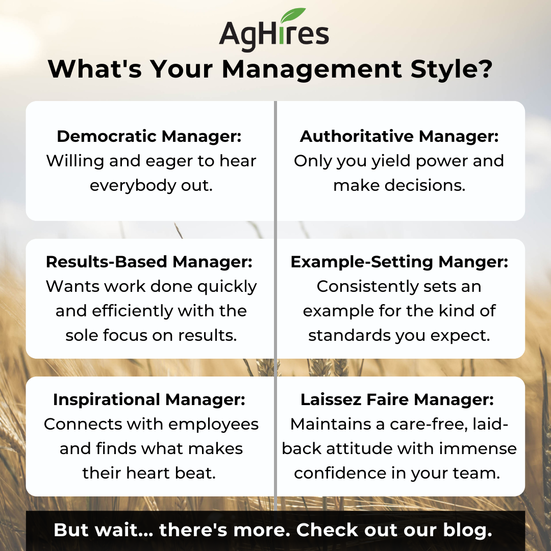 Management style 