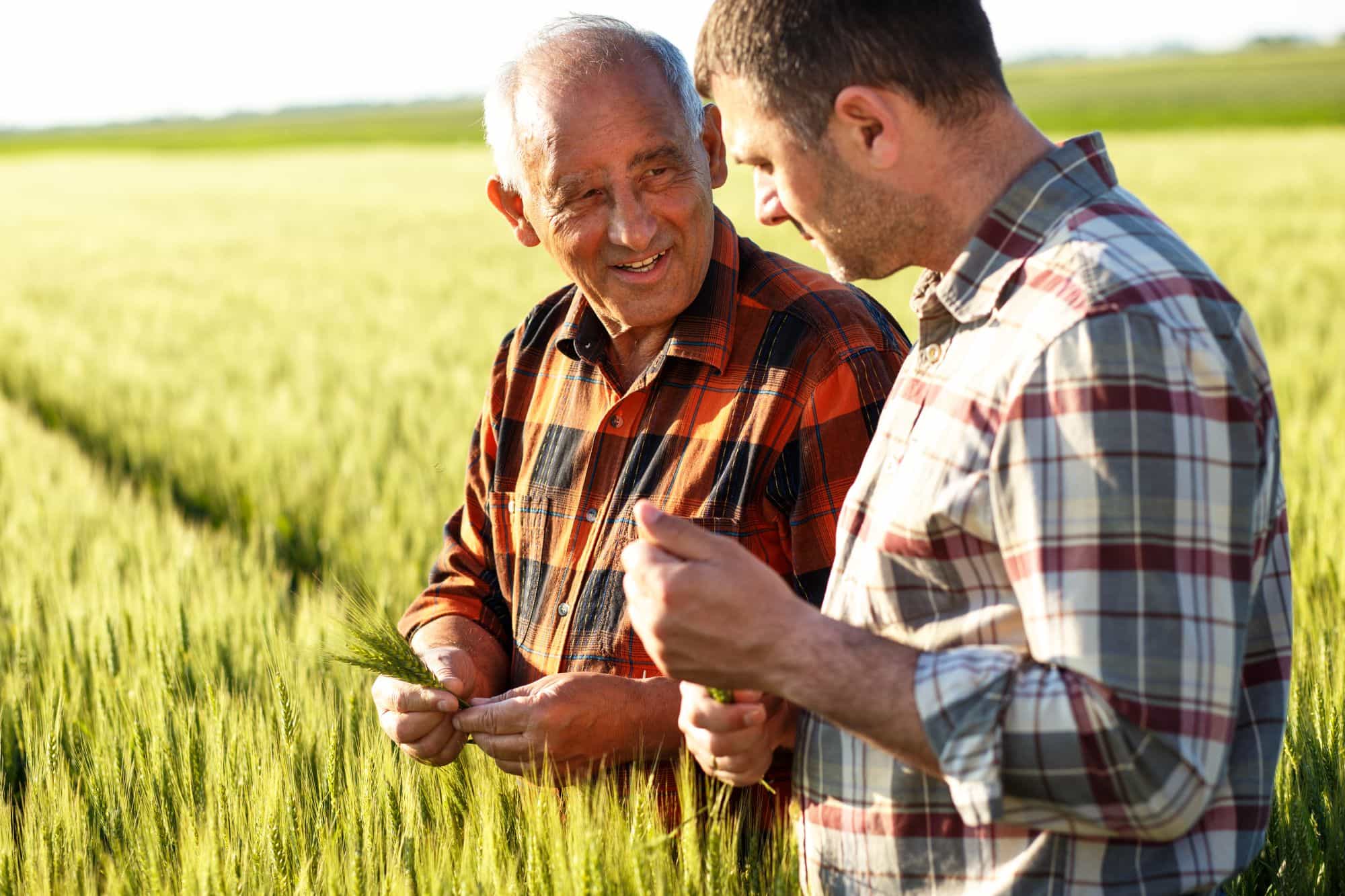 Agribusiness Candidates