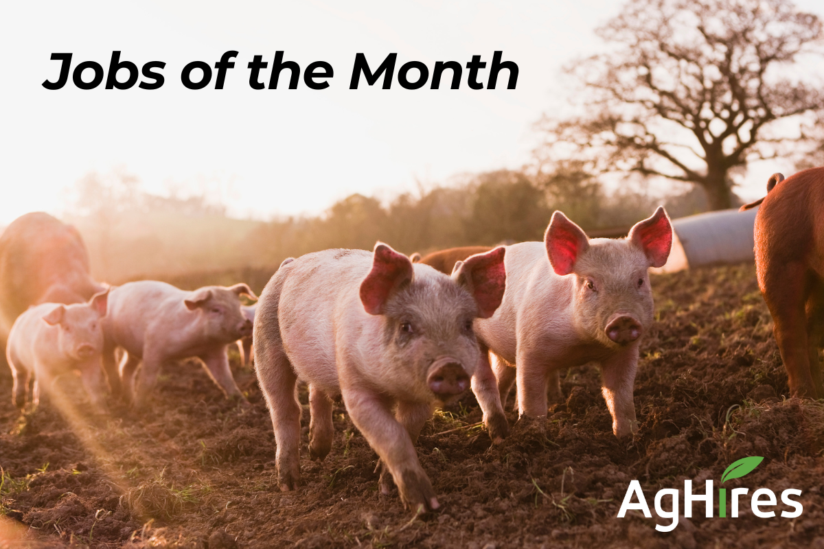 agriculture jobs of the month