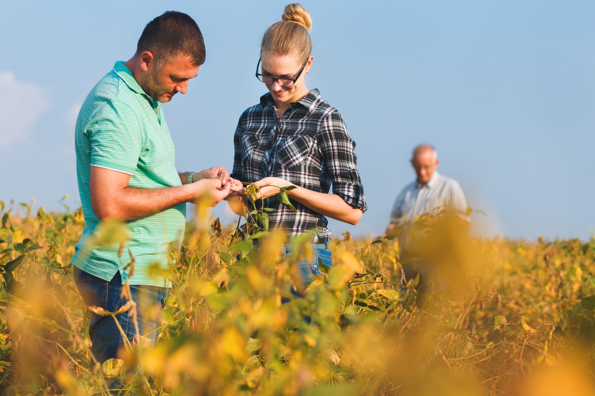 crop advisor responsibilities