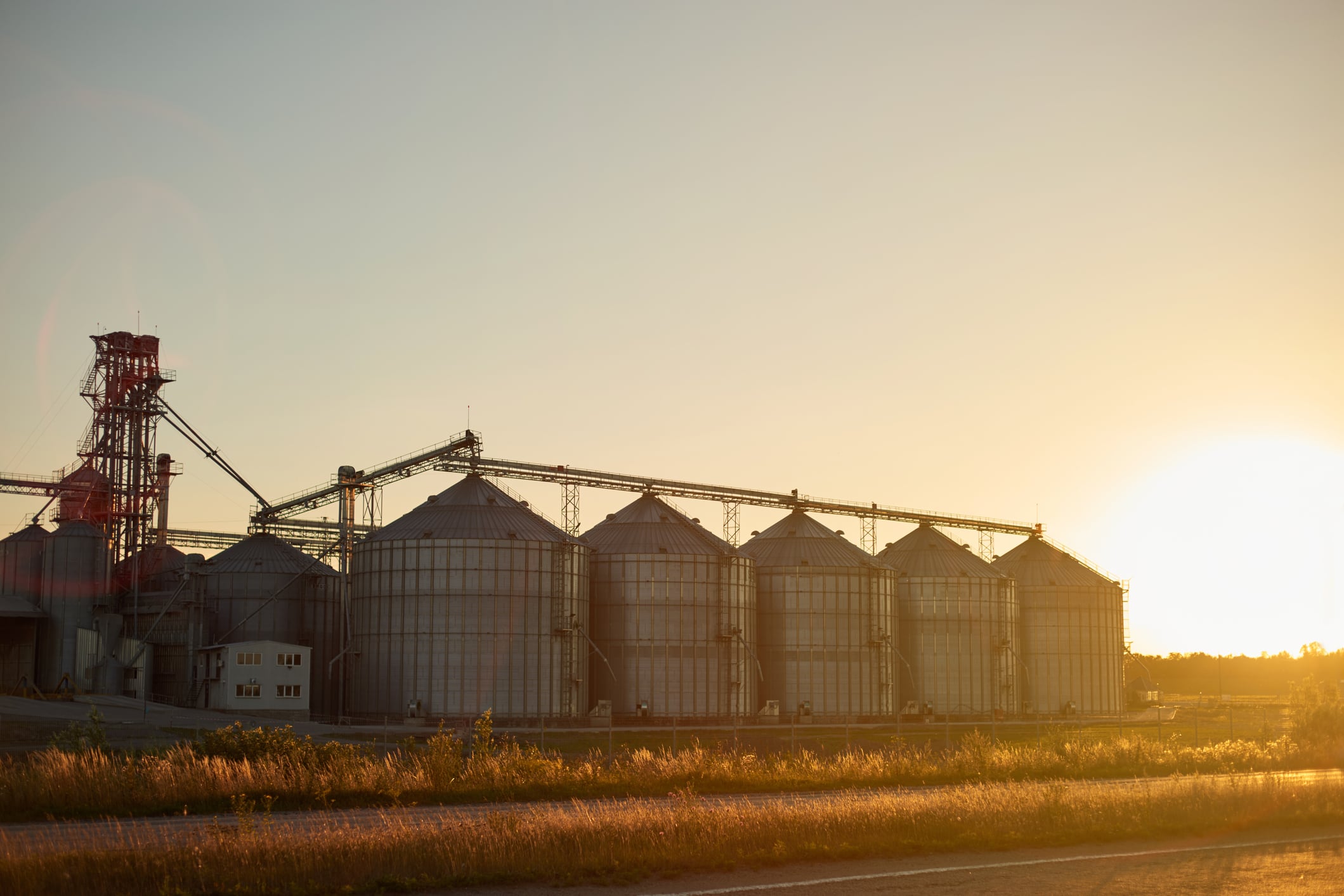 agriculture executive search