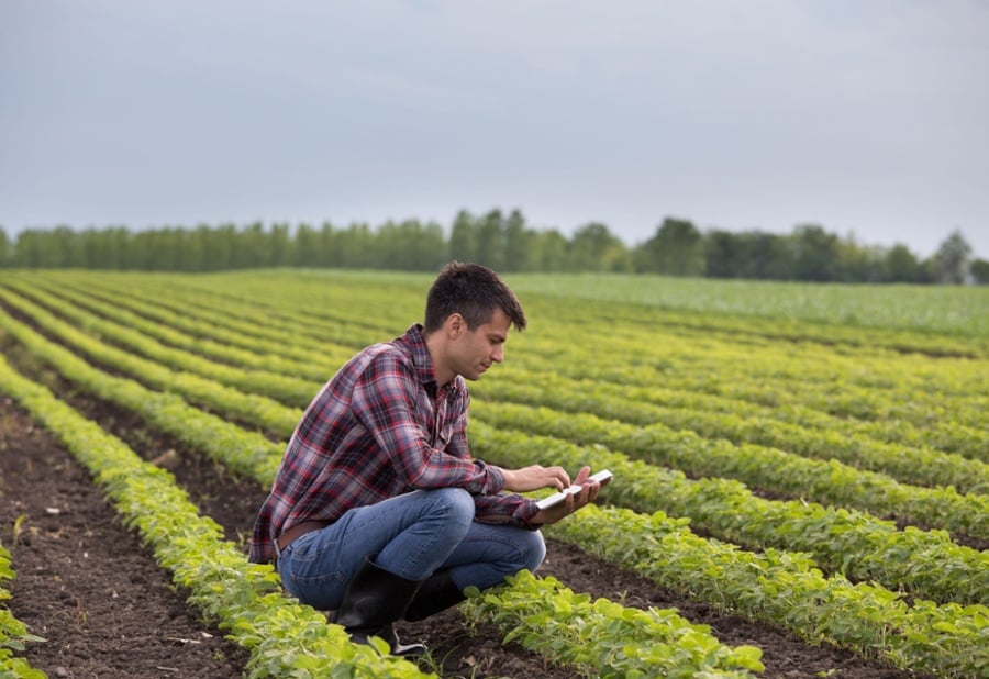 Habits of Outstanding Employees: Best Practices from Agriculture Recruitment Experts