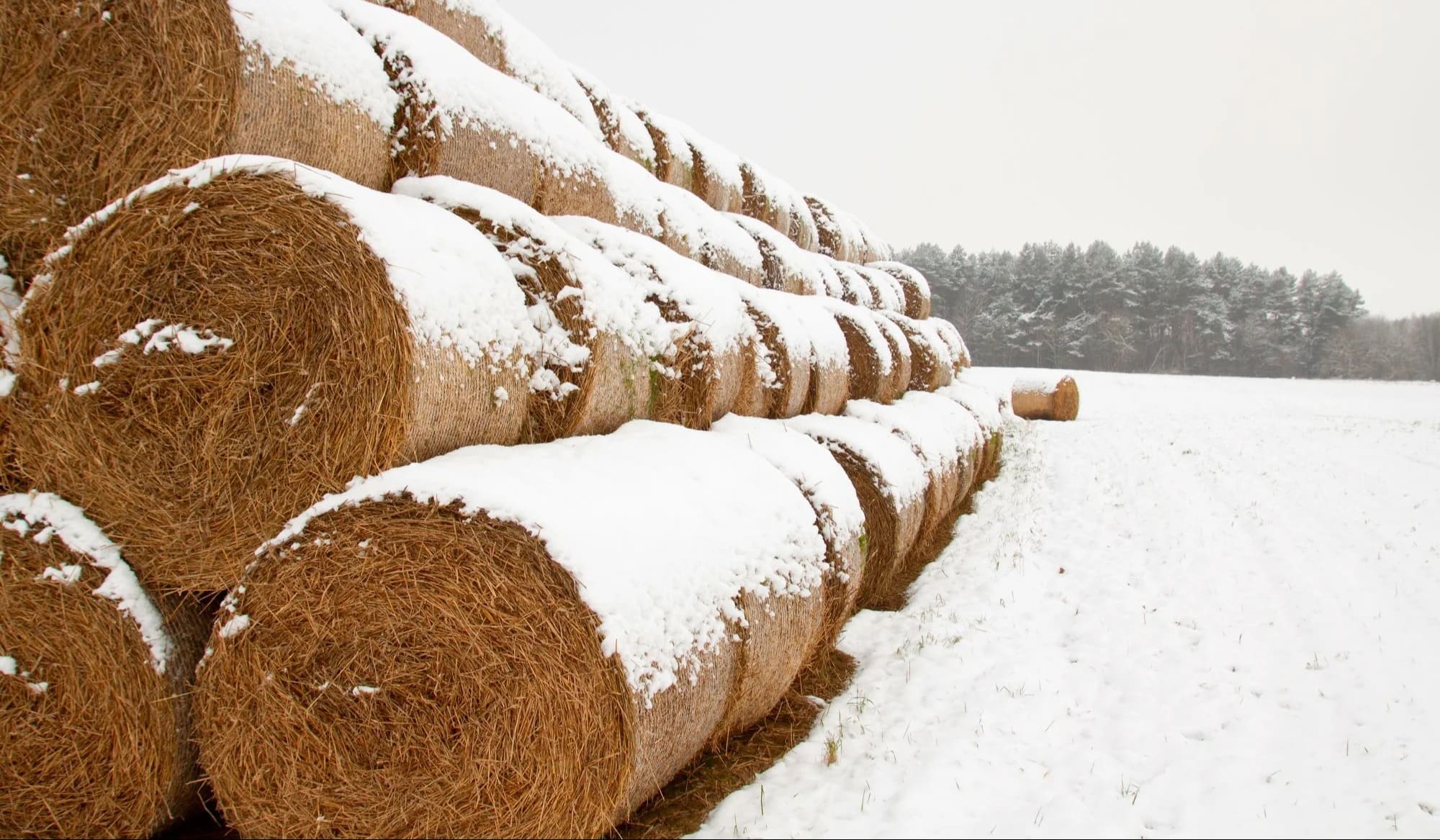 Prime time to hire for farms