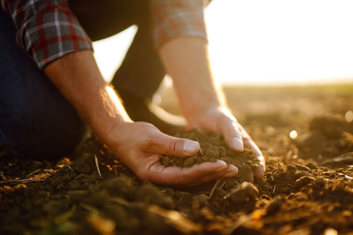 farmer hands in soil