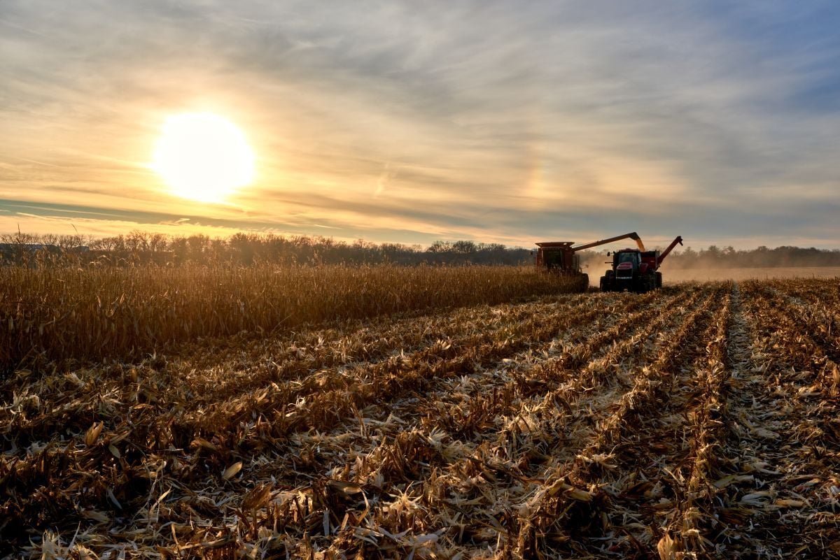 seasonal farm employees harvesting crops