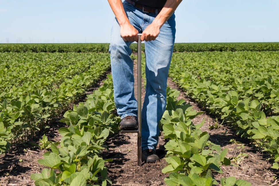 Soil scientist job tasks